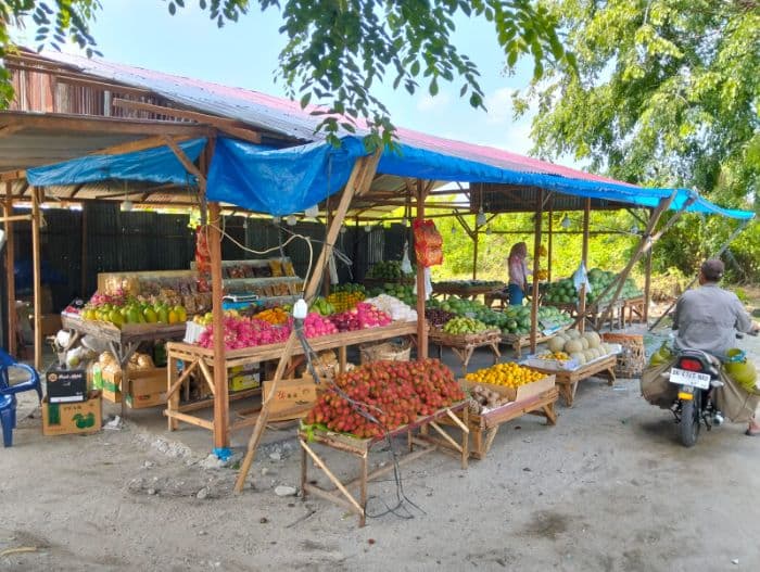 alpukat_aligator_dan_jeruk_madu_asal_saribudolok_diminati_pembeli_di_lubuk_pakam