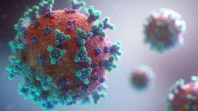 kanada_terapkan_langkah_perbatasan_baru_untuk_cegah_penyebaran_ebola