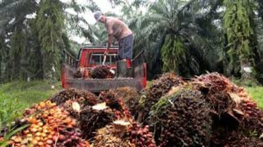 empat_sektor_unggulan_sumut_tawarkan_investasi_rp108_triliun