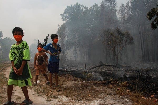 asap_kebakaran_hutan_mengandung_polutan_berbahaya_bisa_tembus_hingga_alveoli_paru