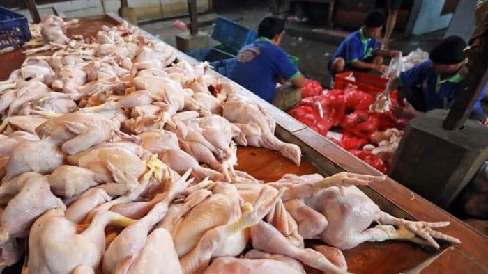 harga_ayam_rp42_ribu_per_kg_warga_medan_andalkan_beras_murah_bulog