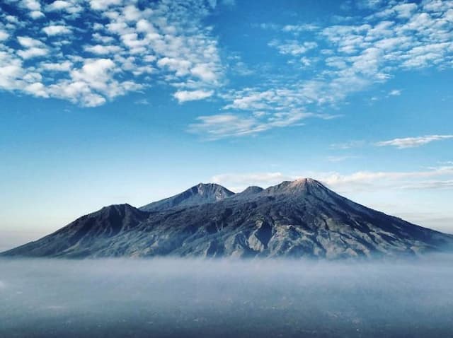 kebakaran_hutan_melanda_gunung_arjunowelirang_jalur_pendakian_ditutup