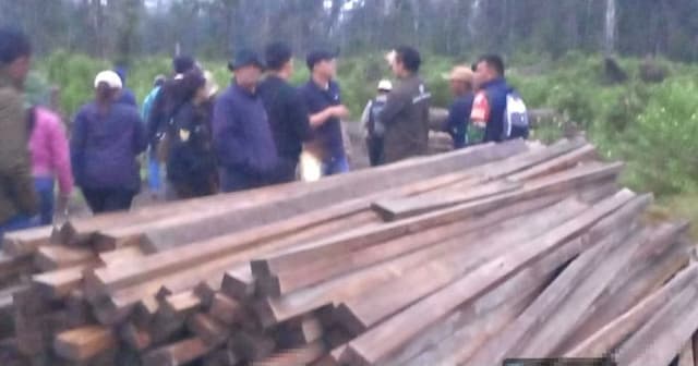 tumpukan_kayu_olahan_ditemukan_di_lokasi_pt_gruti_saat_sidang_lapangan