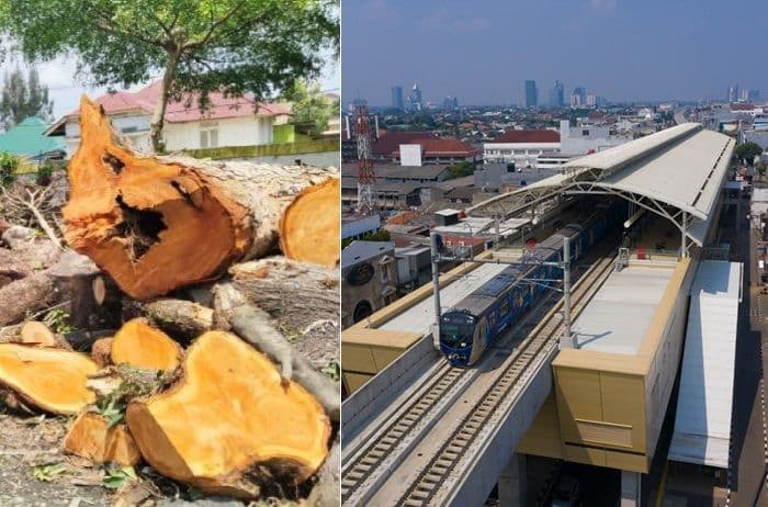 mrt_jakarta_terganggu_pohon_tumbang_ini_fakta_sebenarnya_dan_kapan_normal_lagi
