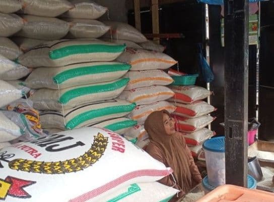 harga_kebutuhan_pokok_di_pasar_tradisional_medan_utara_relatif_stabil_ikan_laut_naik