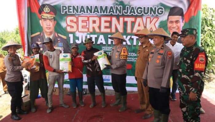 dukung_ketahanan_pangan_polres_pelabuhan_belawan_tanam_jagung_di_lahan_2_hektar_