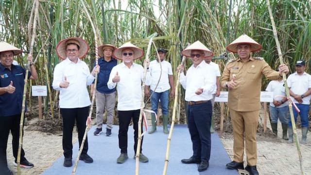 target_11_juta_gula_menko_pangan_dan_mendag_kunjungi_kebun_tebu_di_langkat
