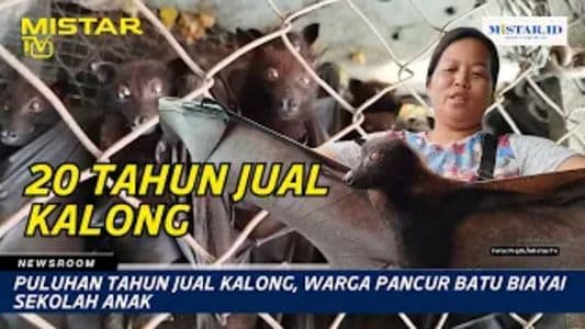 newsroom_puluhan_tahun_jual_kalong_warga_pancur_batu_biayai_sekolah_anak
