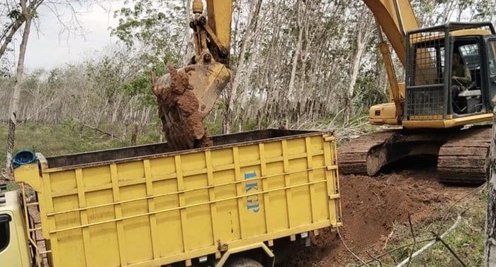 proyek_pembibitan_sawit_ptpn_iv_gunung_pamela_disorot_rekanan_gunakan_tanah_areal_kebun