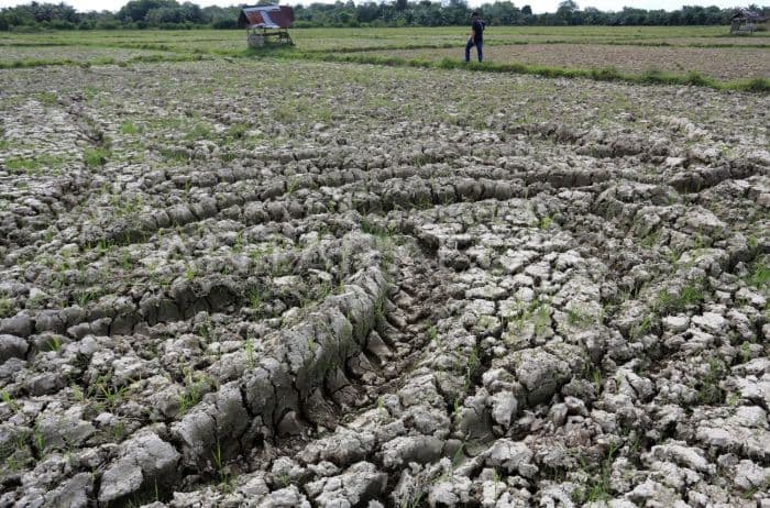 dprd_simalungun_turun_tangan_usut_sawah_kering_di_panombeian_panei_diduga_dampak_perumda_tirta_uli