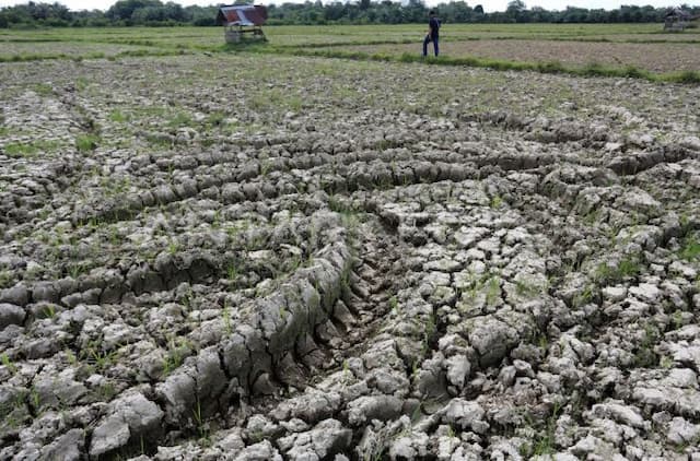 dprd_simalungun_turun_tangan_usut_sawah_kering_di_panombeian_panei_diduga_dampak_perumda_tirta_uli
