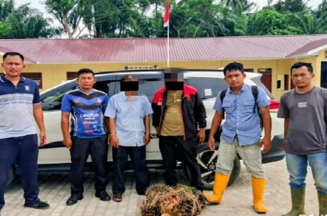 kejarkejaran_15_km_dua_pencuri_sawit_pakai_toyota_rush_dibekuk_di_batu_bara