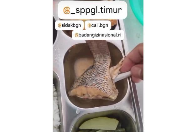 video_siswa_sd_tolak_makan_ikan_mbg_di_asahan_viral_sppg_minta_maaf