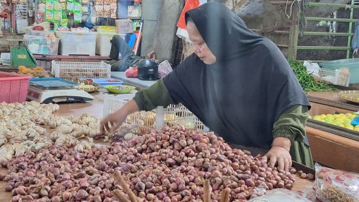 bawang_putih_di_medan_tembus_rp41_ribu_per_kg_bawang_merah_malah_anjlok