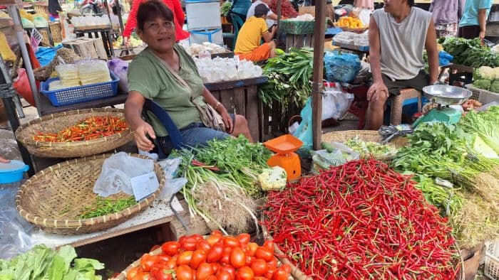 harga_kebutuhan_pokok_di_medan_bergejolak_tomat_dan_ayam_kompak_naik