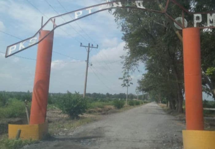 pulang_dari_pabrik_kelapa_sawit_irt_dirampok_di_pagar_merbau_deli_serdang