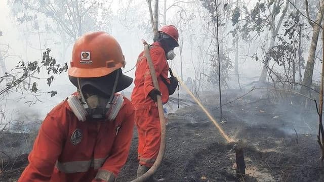 karhutla_kalimantan_meluas_dipicu_el_nino_12880_petugas_dikerahkan