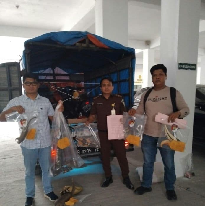 kejari_simalungun_terima_tahap_ii_kasus_perdagangan_satwa_dilindungi