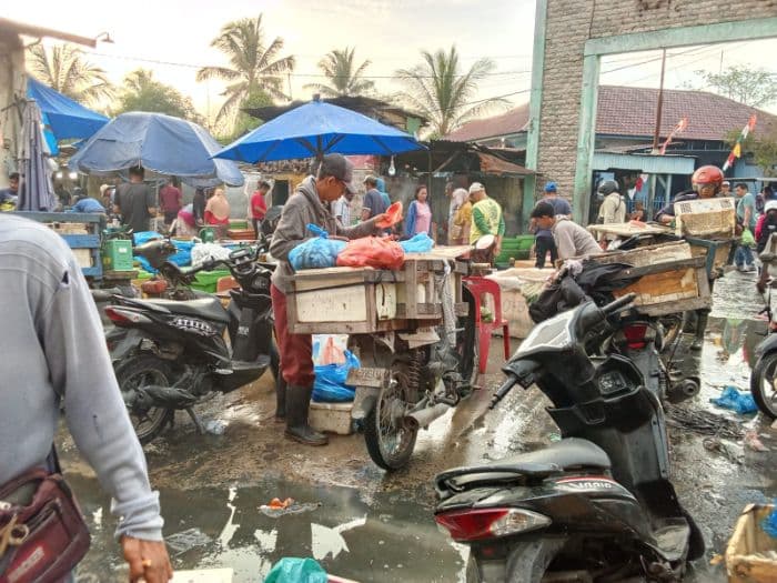 pasokan_ikan_luar_daerah_tekan_harga_di_tpi_tanjung_beringin