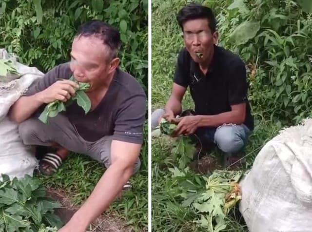 apes_curi_daun_pepaya_di_sunggal_dua_pria_disuruh_makan_daunnya_sampai_meringis_