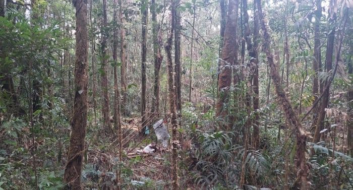 berikut_data_lengkap_jenis_dan_luas_hutan_di_kabupaten_dairi_