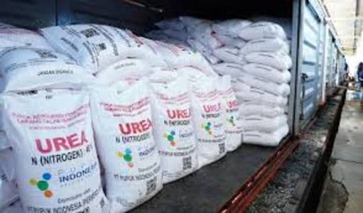 dinas_pertanian_toba_pastikan_stok_pupuk_subsidi_aman_untuk_musim_tanam_padi_2026