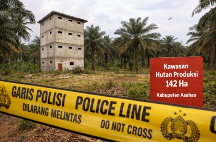 142_hektare_hutan_produksi_di_asahan_diduga_dikuasai_pengusaha