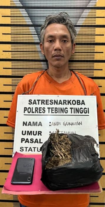 bawa_921_gram_ganja_di_pinggir_jalan_warga_tebing_tinggi_diringkus_