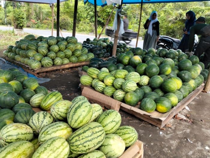 kios_buah_di_deli_serdang_dibobol_saat_salat_id_dagangan_raib_dua_kali