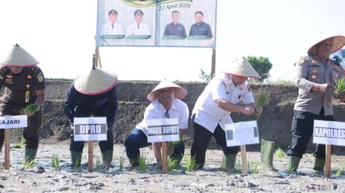 pemkab_dairi_dan_pt_pupuk_indonesia_tanam_padi_di_lahan_105_hektar
