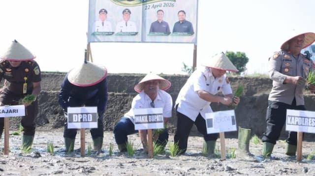 pemkab_dairi_dan_pt_pupuk_indonesia_tanam_padi_di_lahan_105_hektar
