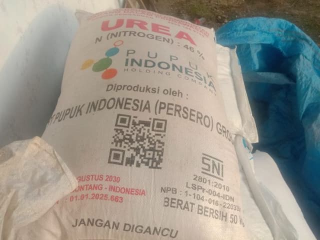 pupuk_subsidi_sempat_terlambat_warga_toba_lega_akhirnya_tiba