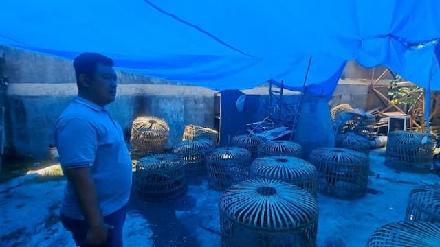 tembakan_peringatan_warnai_penggerebekan_judi_sabung_ayam_di_sunggal
