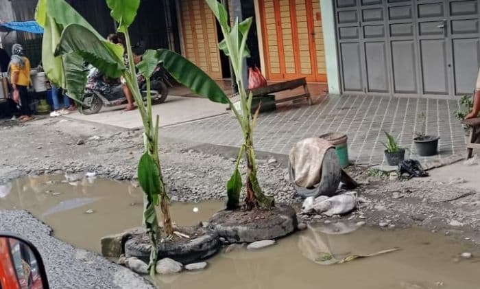 perbaikan_lamban_warga_salapian_tanami_pohon_pisang_di_jalan_rusak_menuju_bukit_lawang_