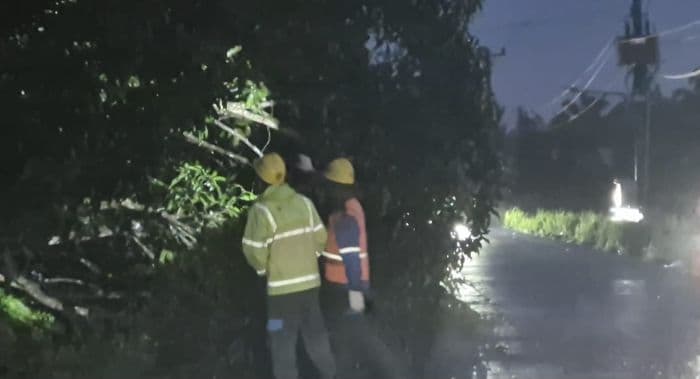 hujan_angin_terjang_binjai_tiang_listrik_ambrukpohon_tumbang_tutupi_jalan