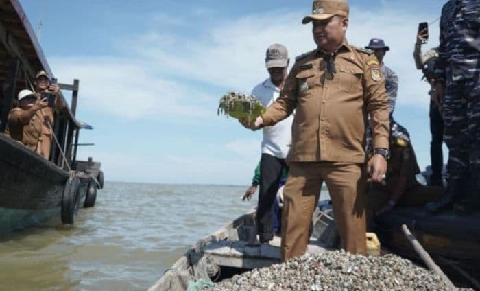 kerang_dara_asal_perairan_silo_baru_asahan_berpotensi_tembus_pasar_ekspor_asia_tenggara