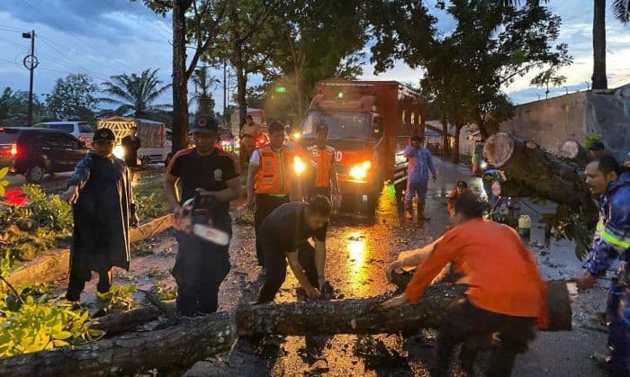 pohon_tumbangrumah_warga_di_binjai_terendam_banjir_personel_bpbd_diturunkan
