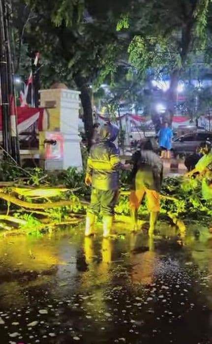antisipasi_pohon_tumbang_dlh_medan_petakan_pemangkasan_dan_penebangan_di_21_kecamatan