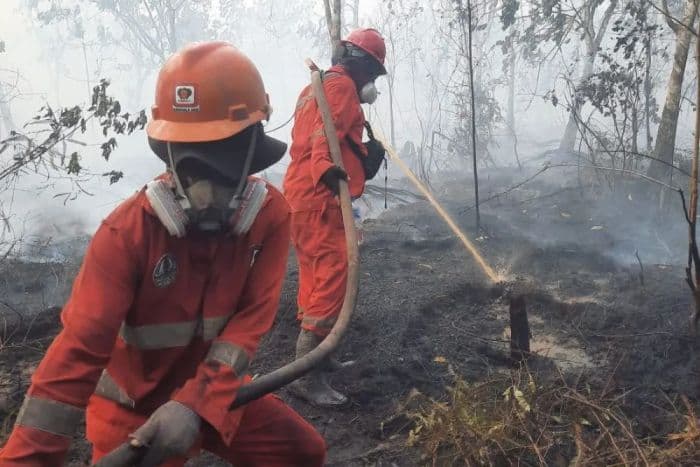 banyak_penerbangan_dibatalkan_akibat_karhutla_kalimantan