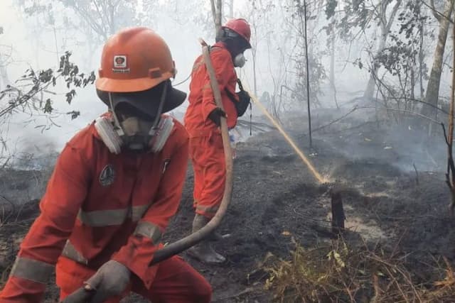 banyak_penerbangan_dibatalkan_akibat_karhutla_kalimantan