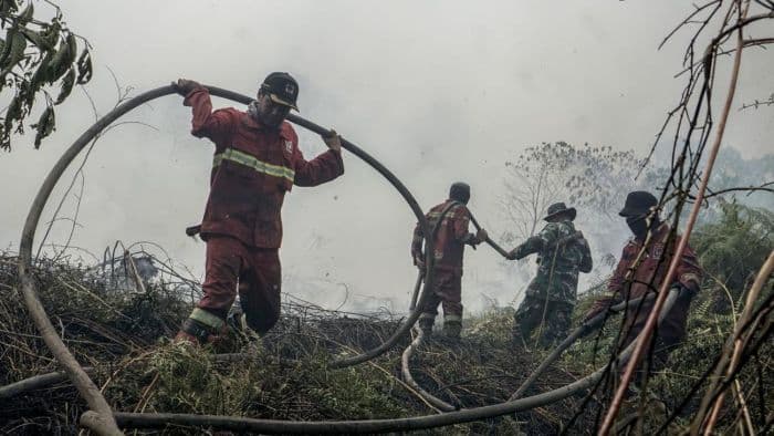 pemerintah_prioritaskan_penanganan_karhutla_di_enam_provinsi