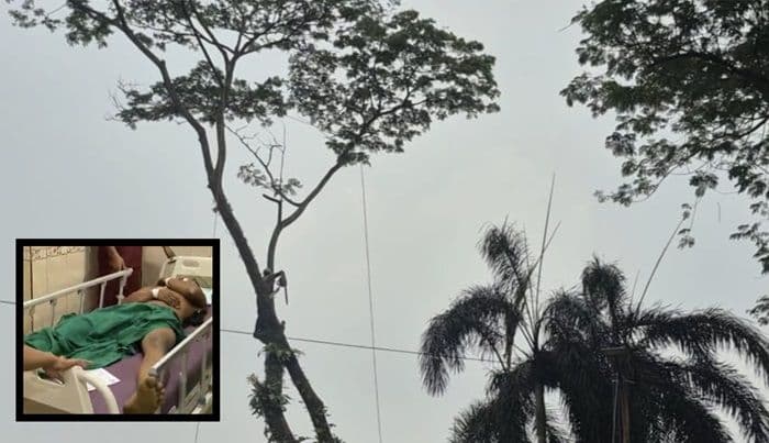 penebang_pohon_di_lapangan_merdeka_binjai_terjatuh_dari_ketinggian_15_meter