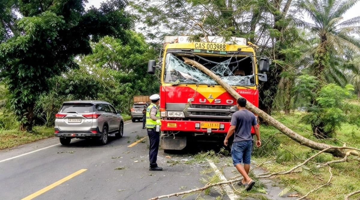dahan_pohon_patah_timpa_truk_tronton_di_jalinsum_batu_bara_polisi_bergerak_cepat