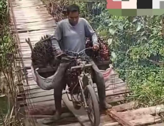 warga_salapian_bertaruh_nyawa_lintasi_jembatan_rusak_yang_viral_di_langkat