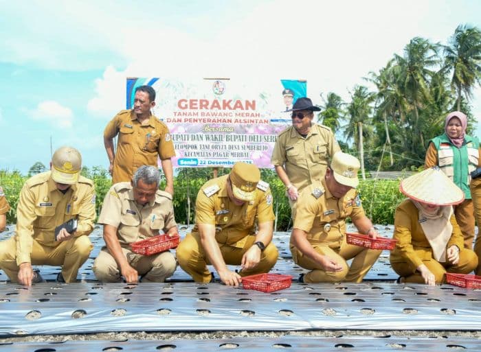 pemkab_deli_serdang_gelar_gerakan_tanam_bawang_merah_dorong_kesejahteraan_petani
