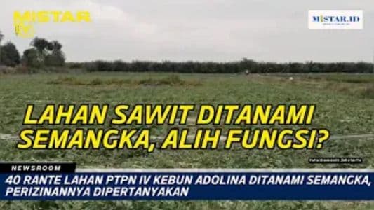 newsroom_40_rante_lahan_ptpn_iv_kebun_adolina_ditanami_semangka_perizinannya_dipertanyakan