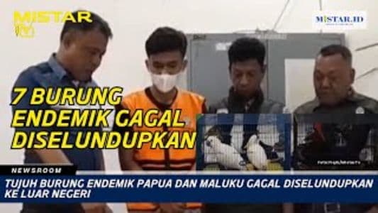 newsroom_tujuh_burung_endemik_papua_dan_maluku_gagal_diselundupkan_ke_luar_negeri