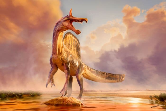 fosil_dinosaurus_jenis_baru_ditemukan_di_gurun_sahara