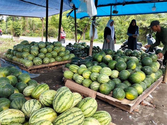 warga_kenali_ciri_pelaku_pencurian_di_kios_buah_lubuk_pakam