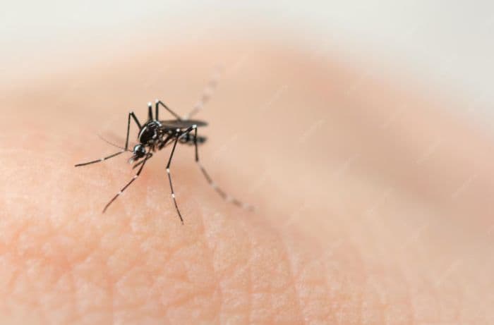 kasus_malaria_asahan_2025_melonjak_jadi_2431_tanjungbalai_tertinggi